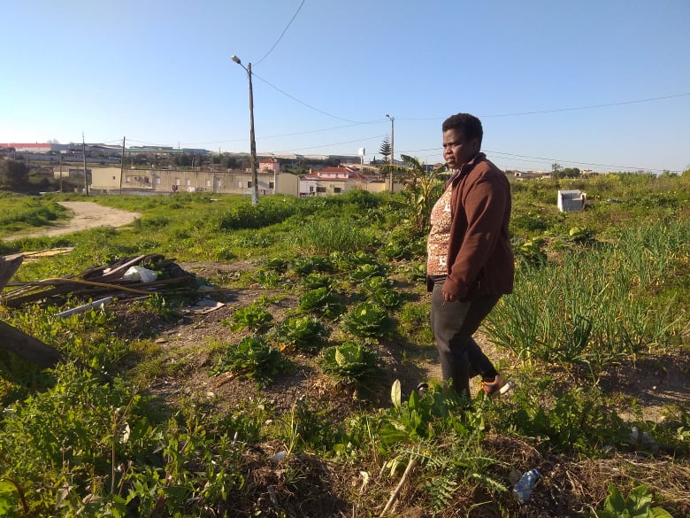 Apoio a mulheres empreendedoras