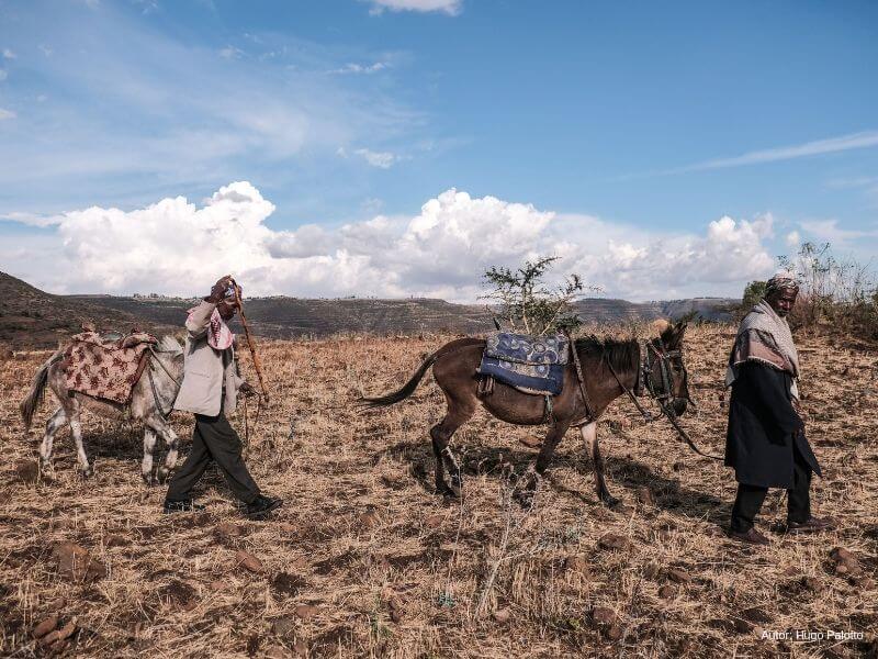La migración humana