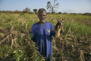 Adaptação às alterações climáticas