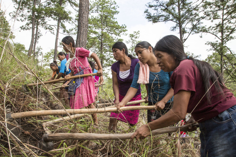 Alterações climáticas no Corredor Seco