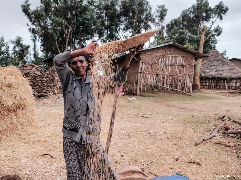 A nossa receita contra a fome na Etiópia