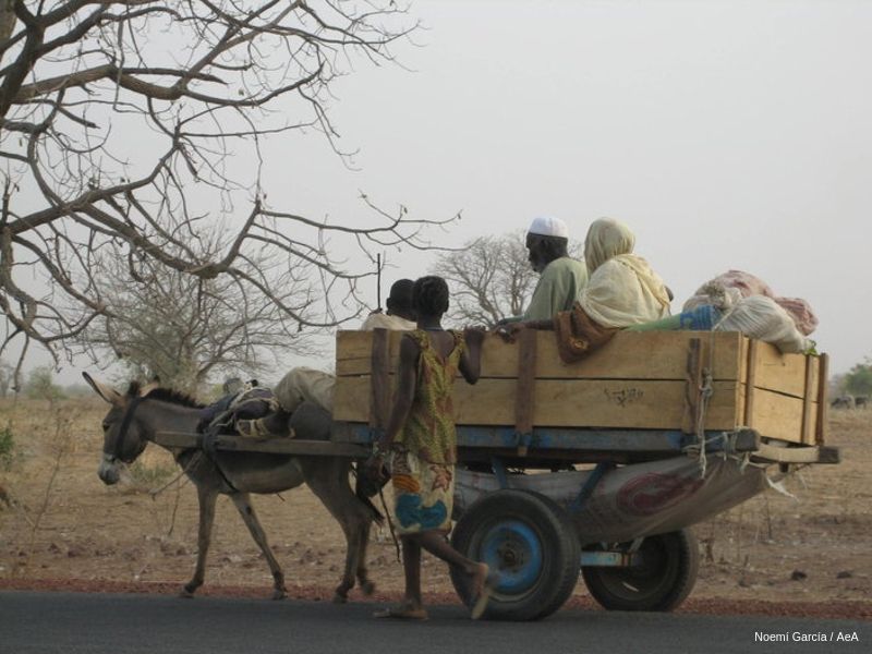 Como é que a Ajuda em Ação luta contra a fome no Mali e no Níger